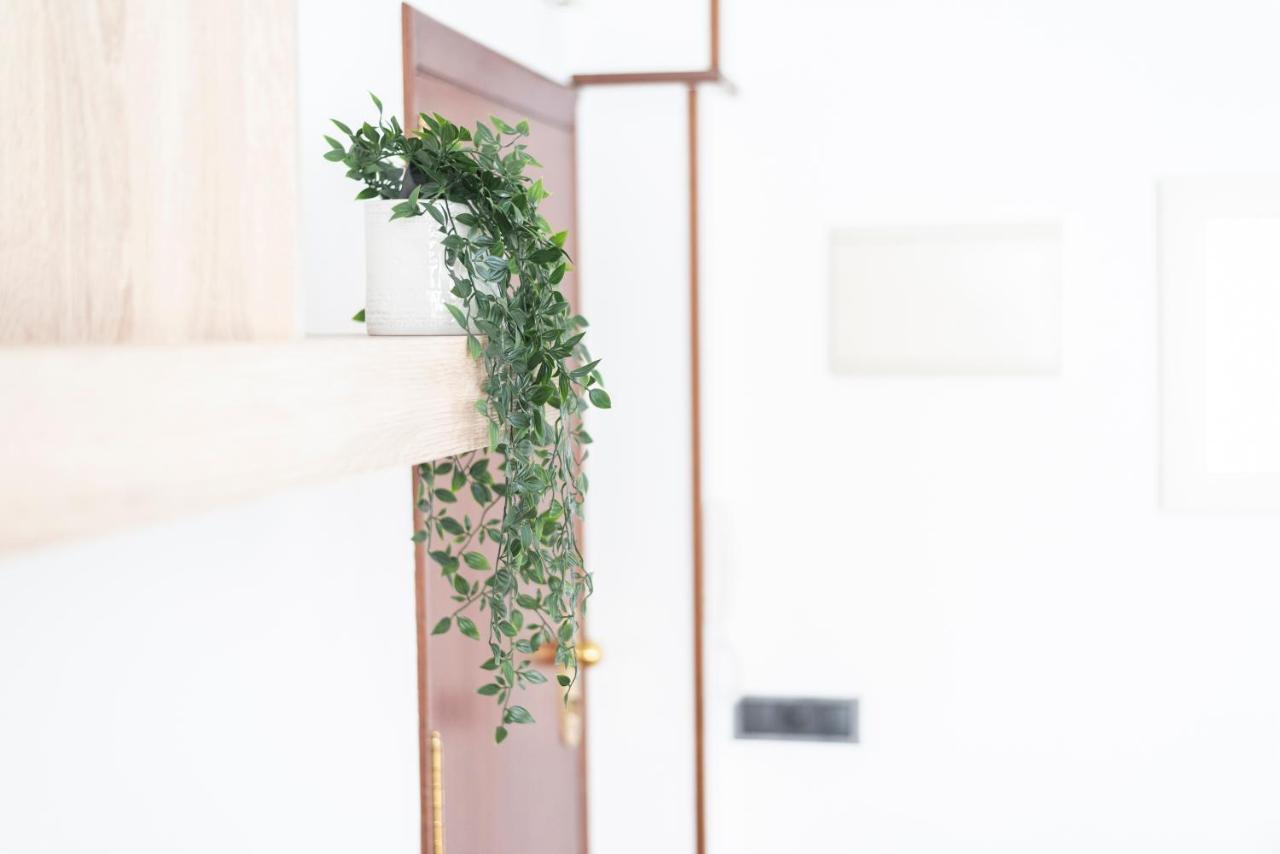 フェロルApartamento Victoriaアパートメント エクステリア 写真